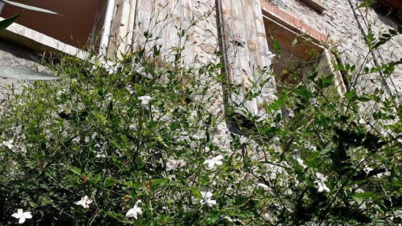 Photo of Outdoor in Eus