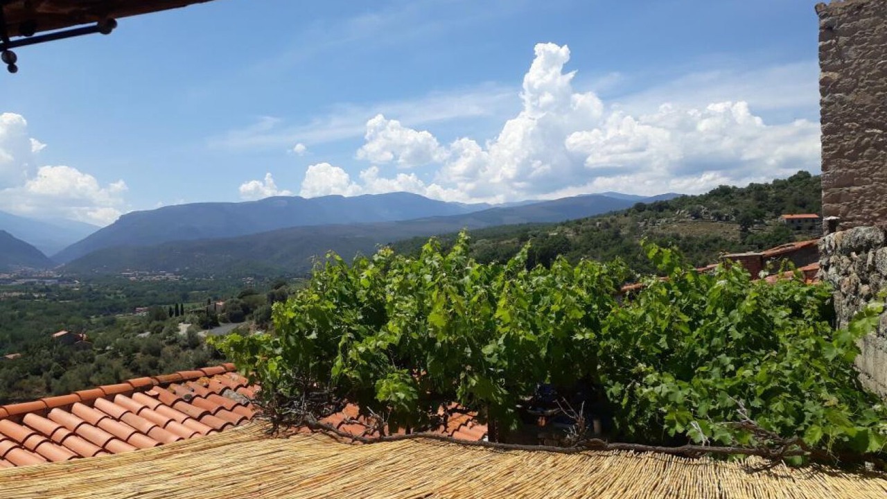 Photo of Others in Eus