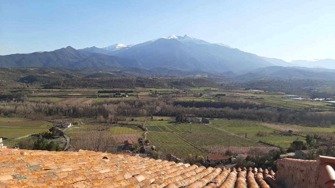 Photo of Others in Eus