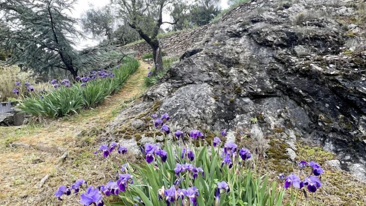 Photo of Others in Villeneuve-Minervois