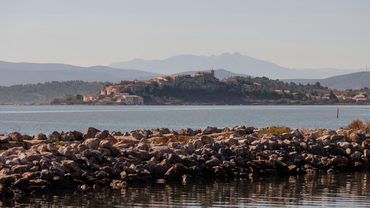 Photo of Others in Bages