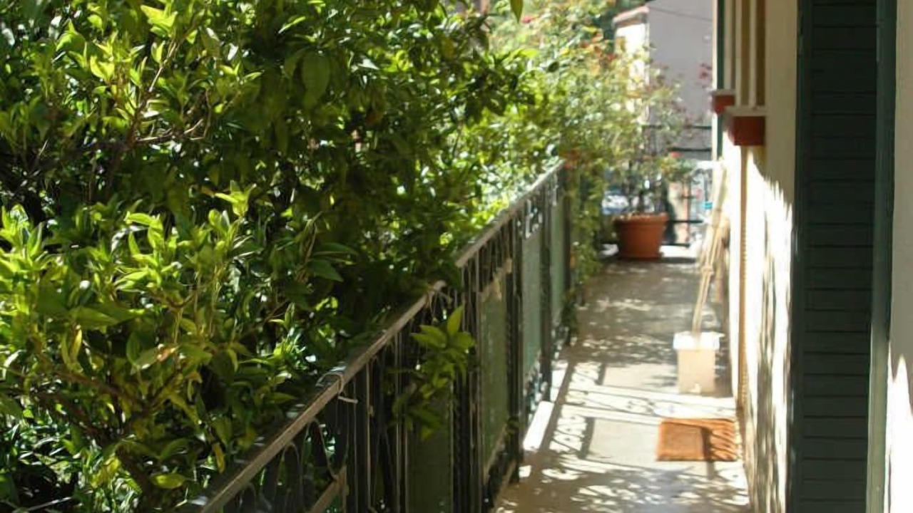 Photo of Outdoor in Ceret