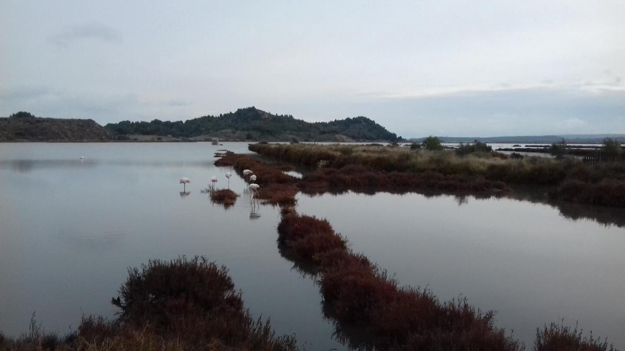 Photo of Others in Bages