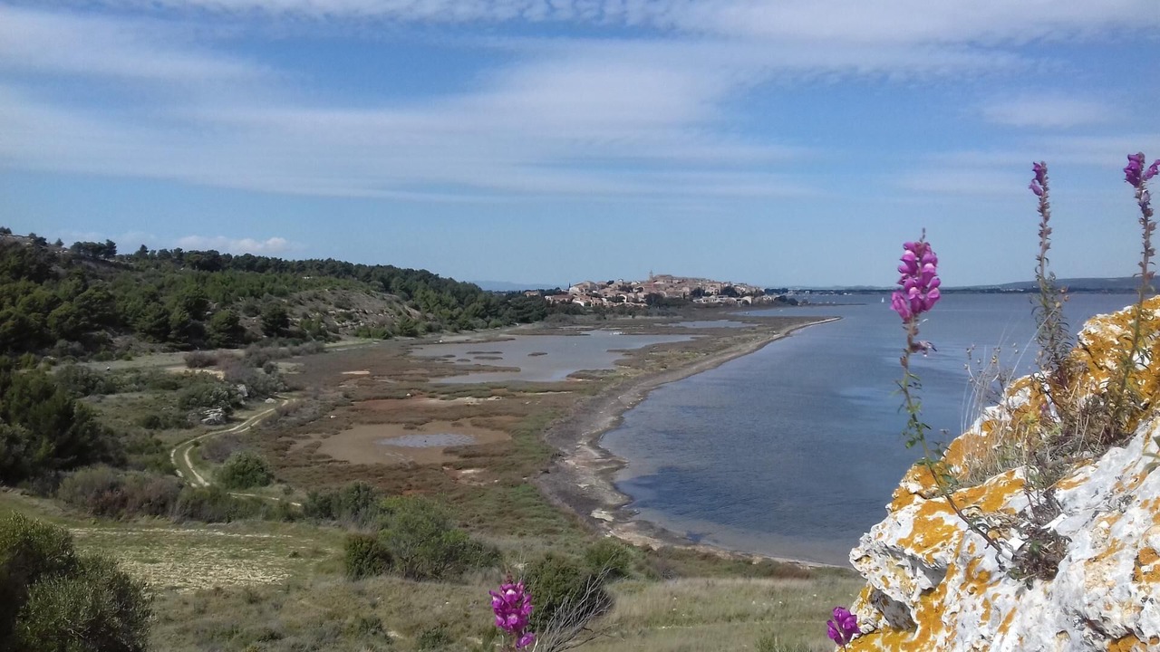 Photo of Others in Bages
