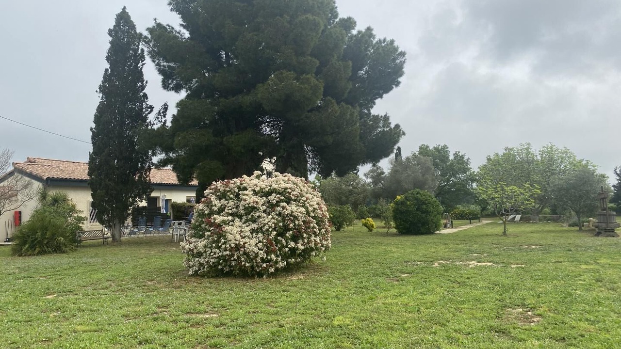 Photo of Outdoor in Alenya