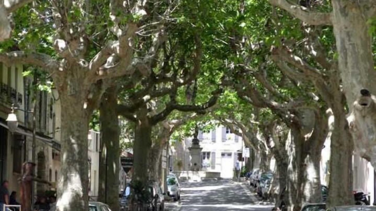 Photo of Others in Villeneuve-Minervois