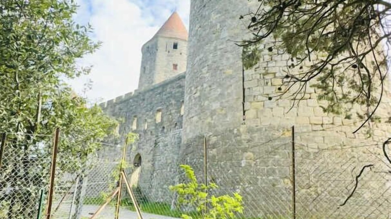 Photo of Others in Carcassonne