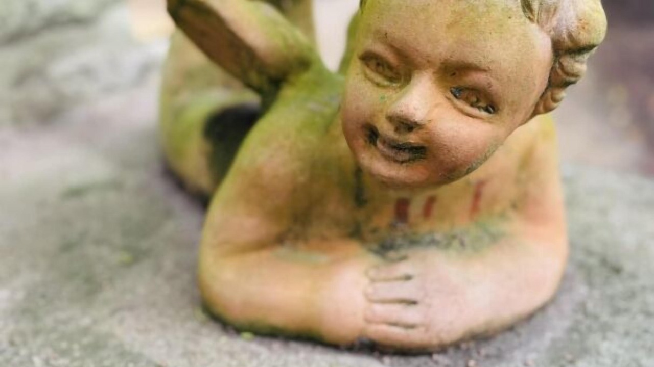 Photo of Outdoor in Carcassonne