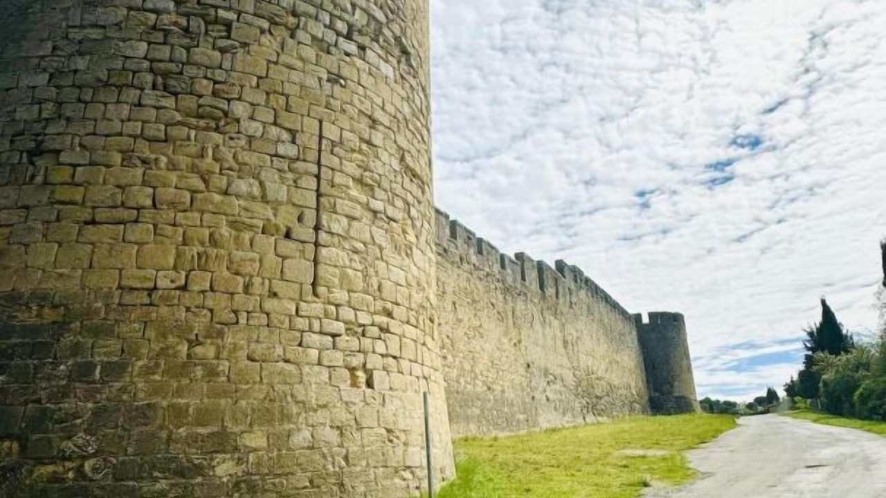 Photo of Others in Carcassonne
