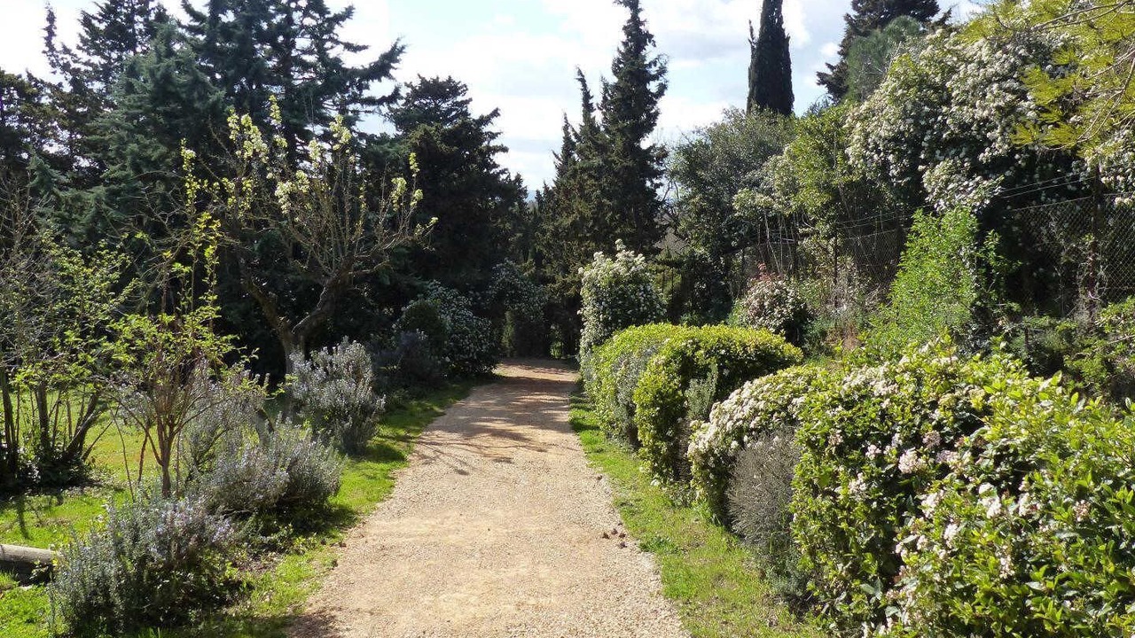 Photo of Outdoor in Carcassonne