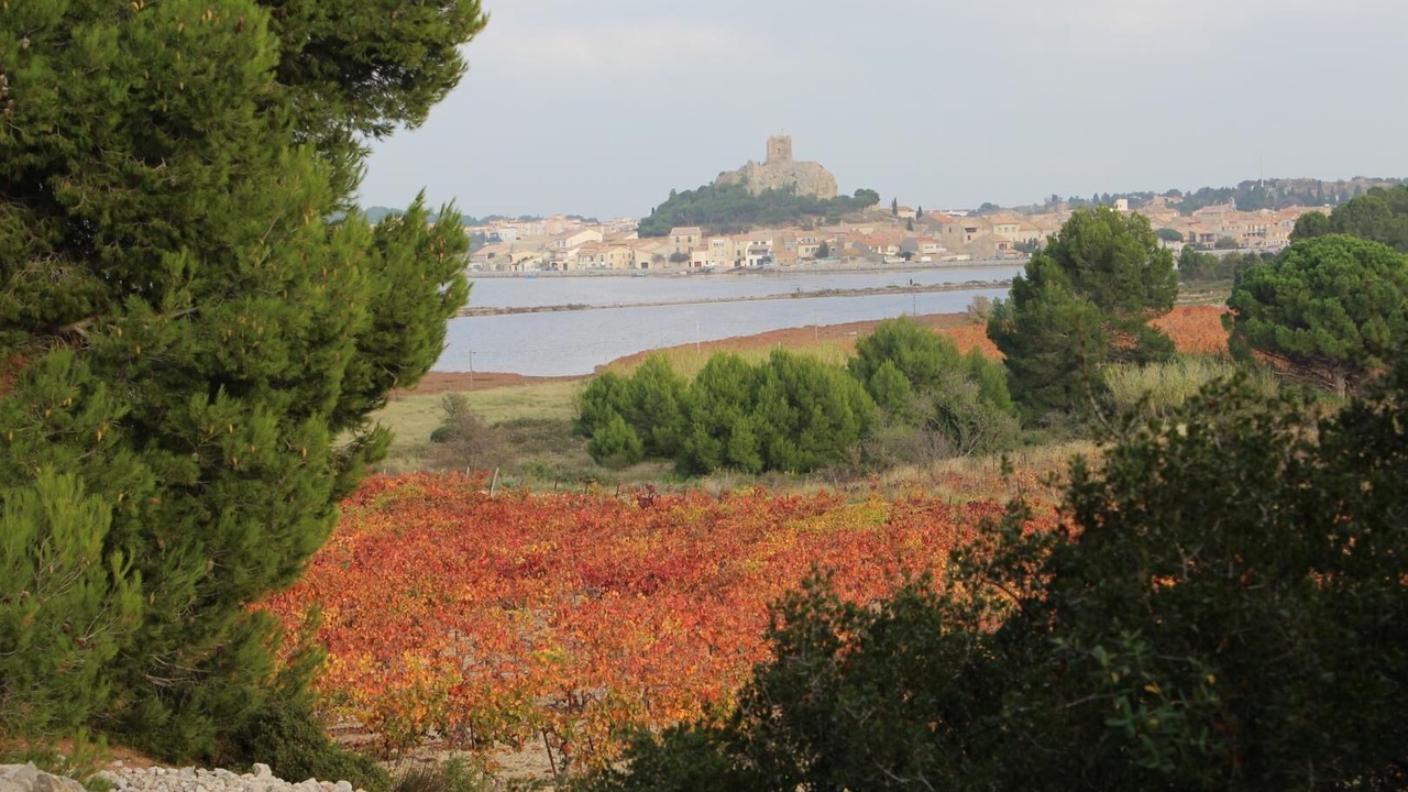 Photo of Others in Montseret
