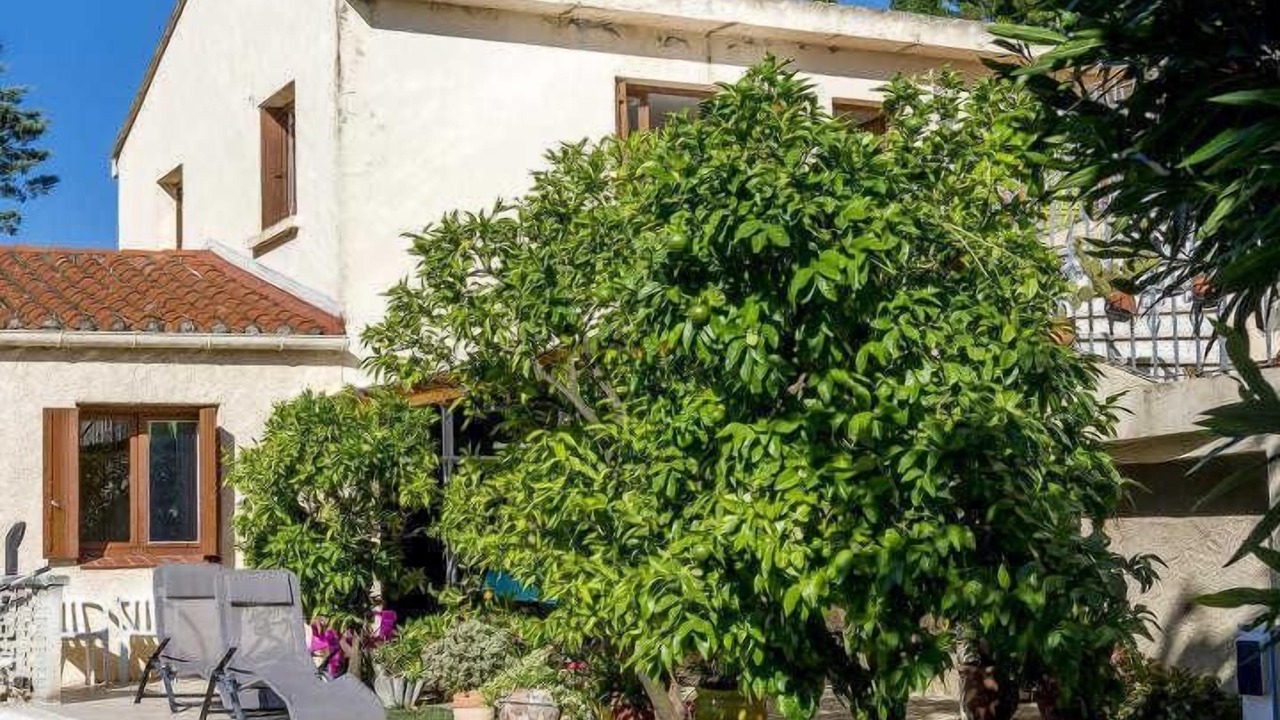 Photo of Outdoor in Trouillas