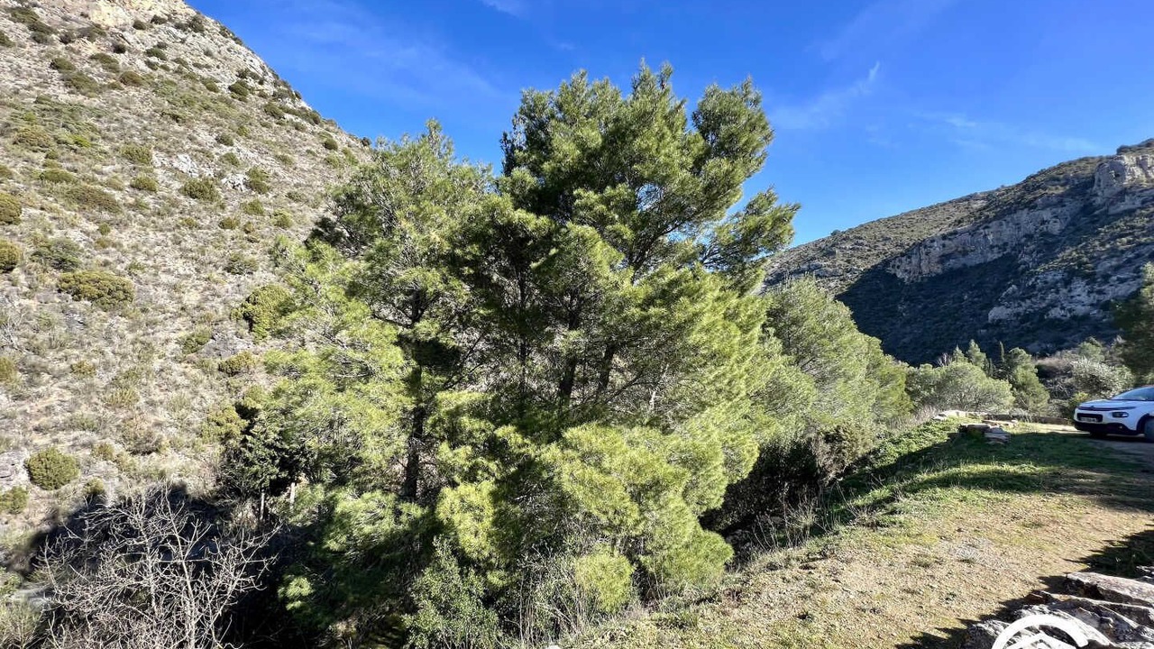 Photo of Others in Embres-et-Castelmaure