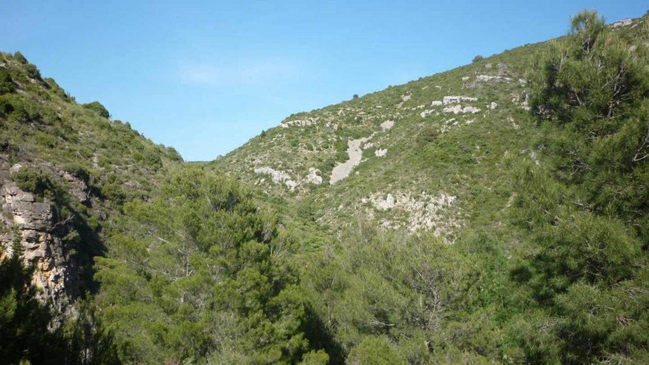 Photo of Others in Embres-et-Castelmaure