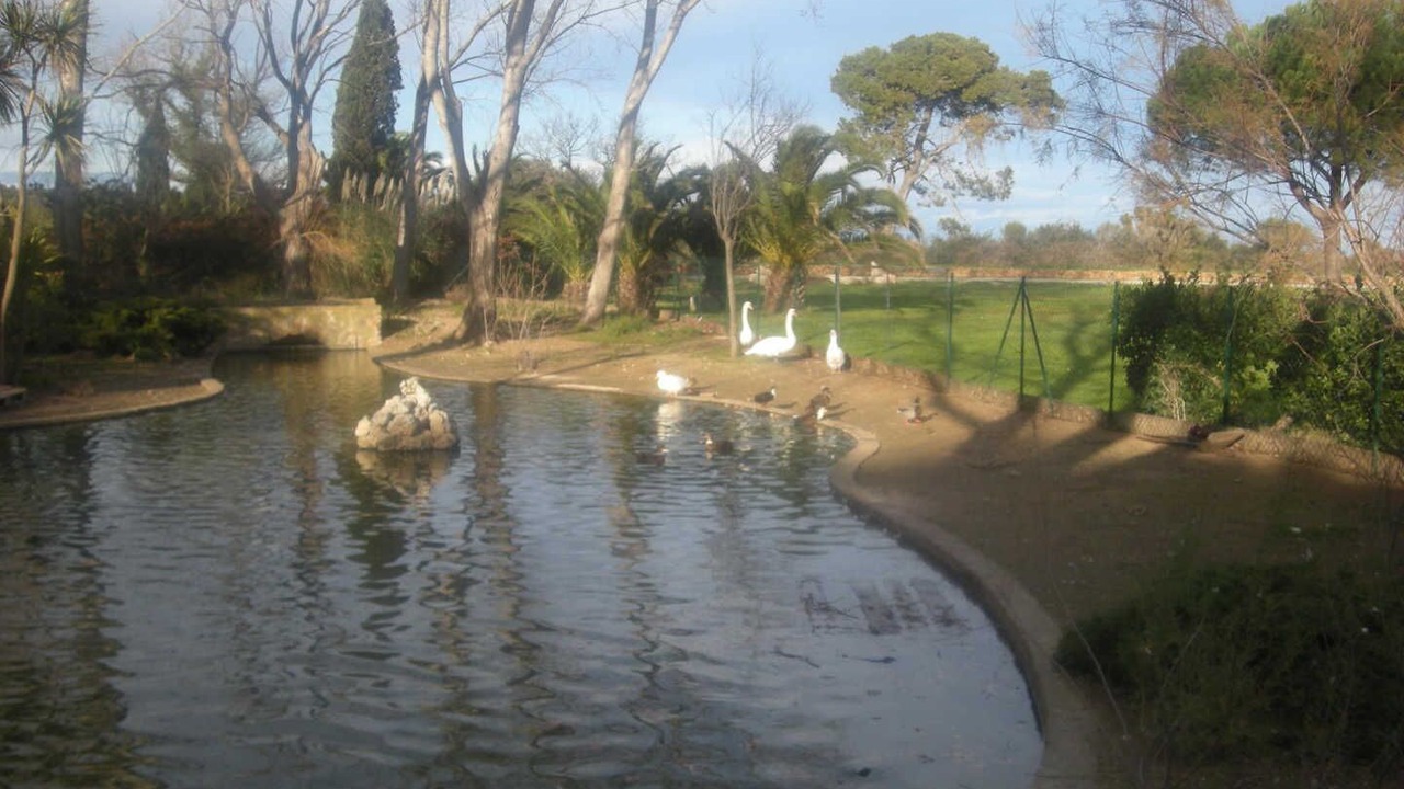 Photo of Outdoor in Salles-d'Aude
