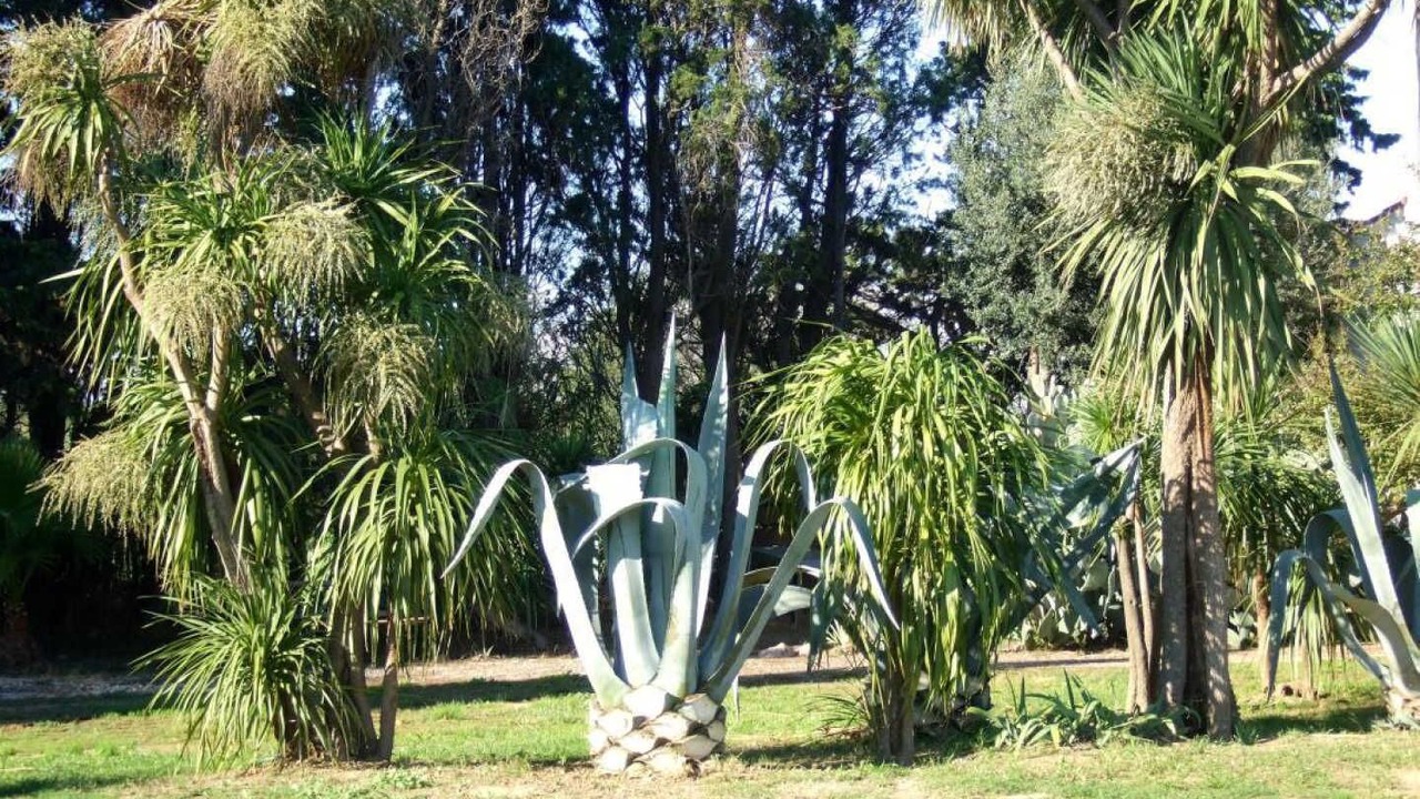 Photo of Outdoor in Alenya
