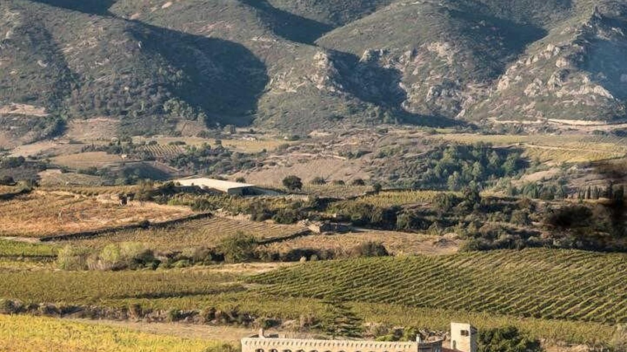 Photo of Others in Cassagnes