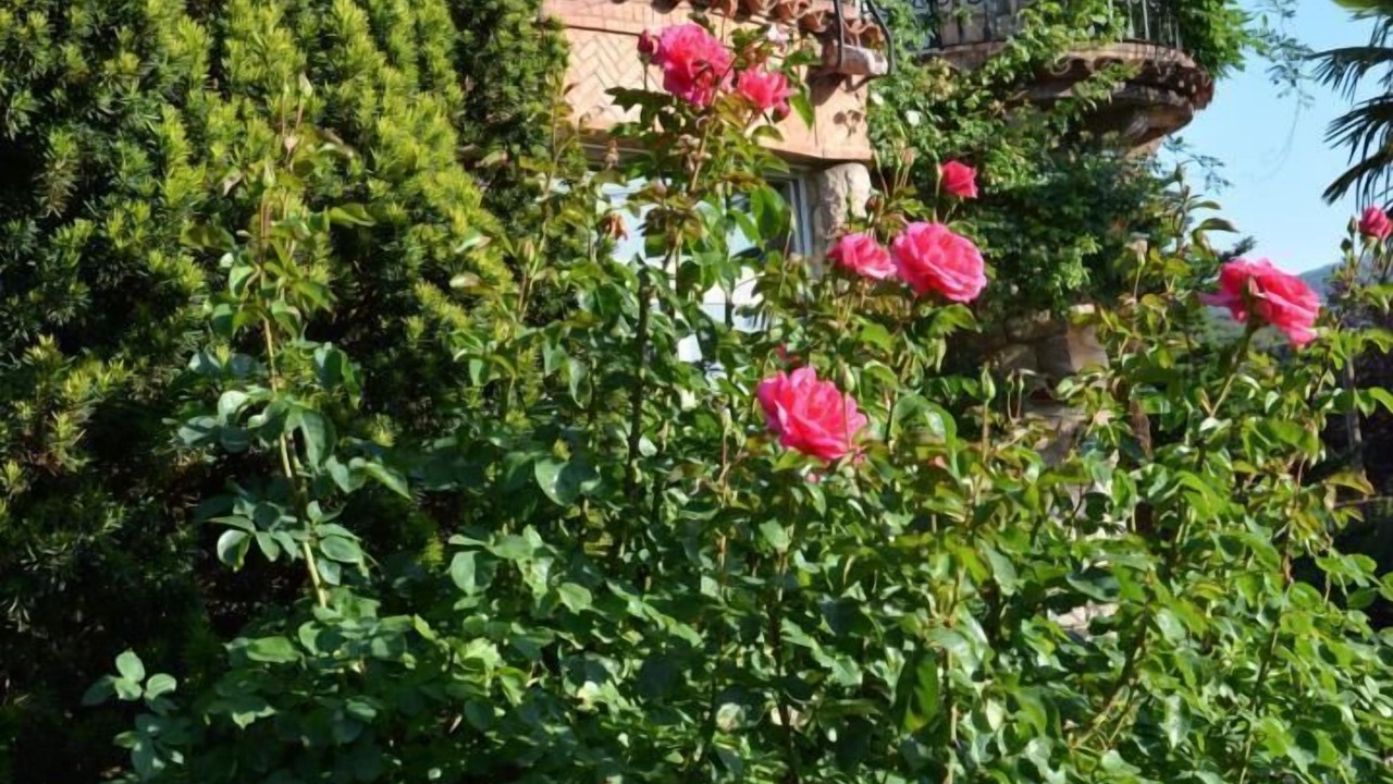 Photo of Outdoor in Prades