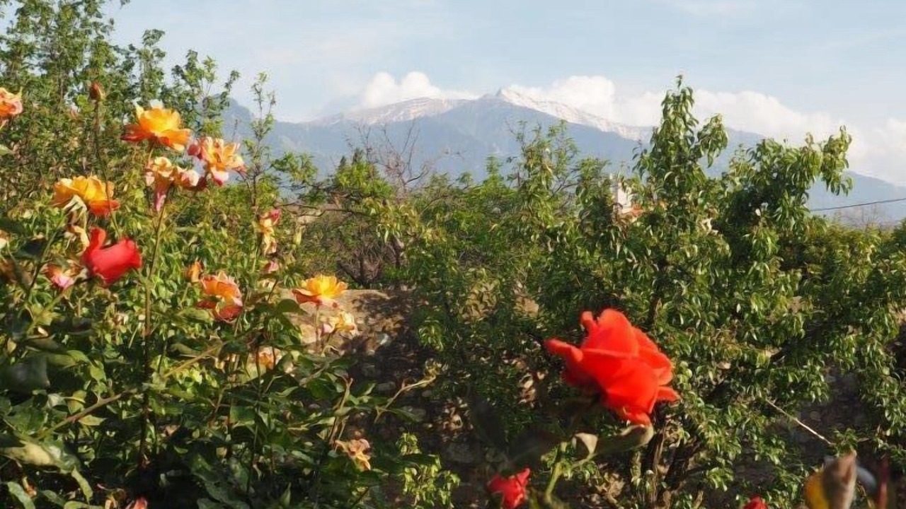 Photo of Outdoor in Prades