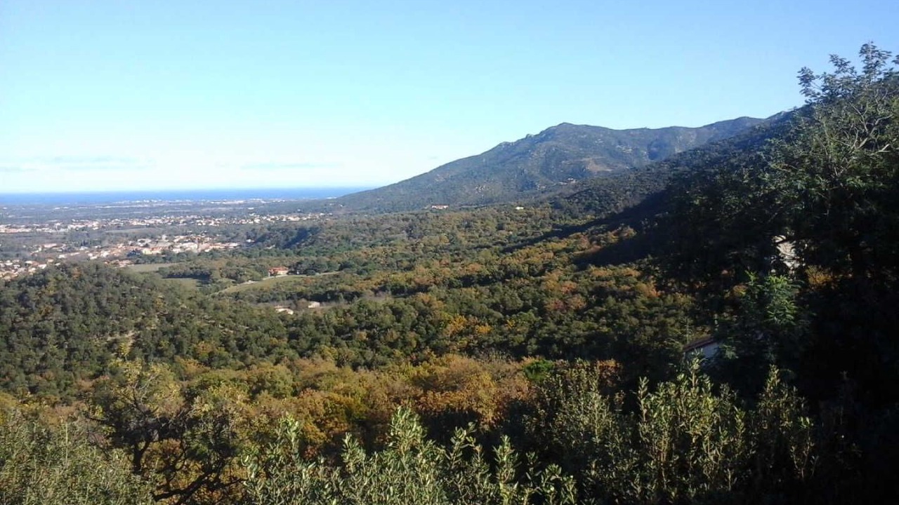 Photo of Others in Laroque-des-Alberes