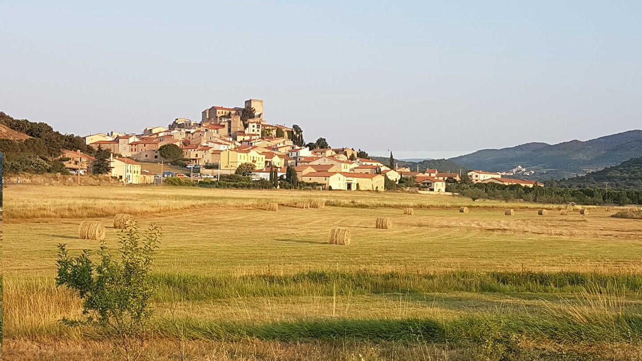 Photo of Others in Montalba-le-Chateau