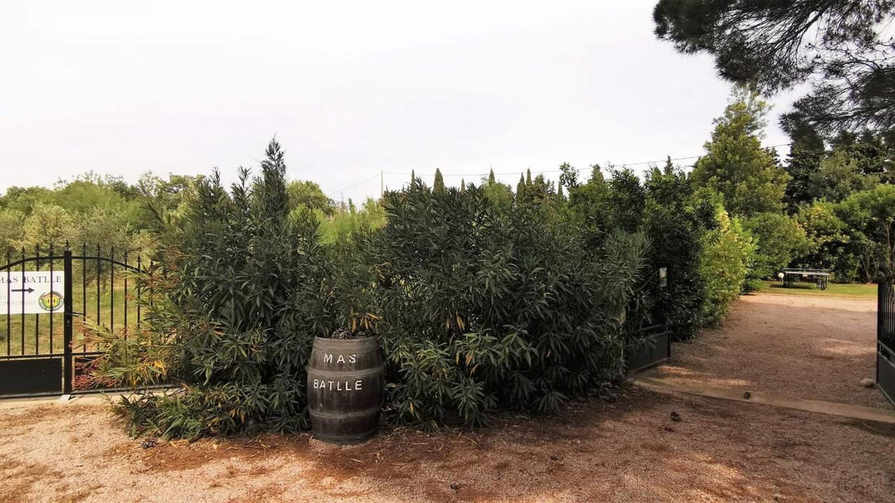 Photo of Outdoor in Millas