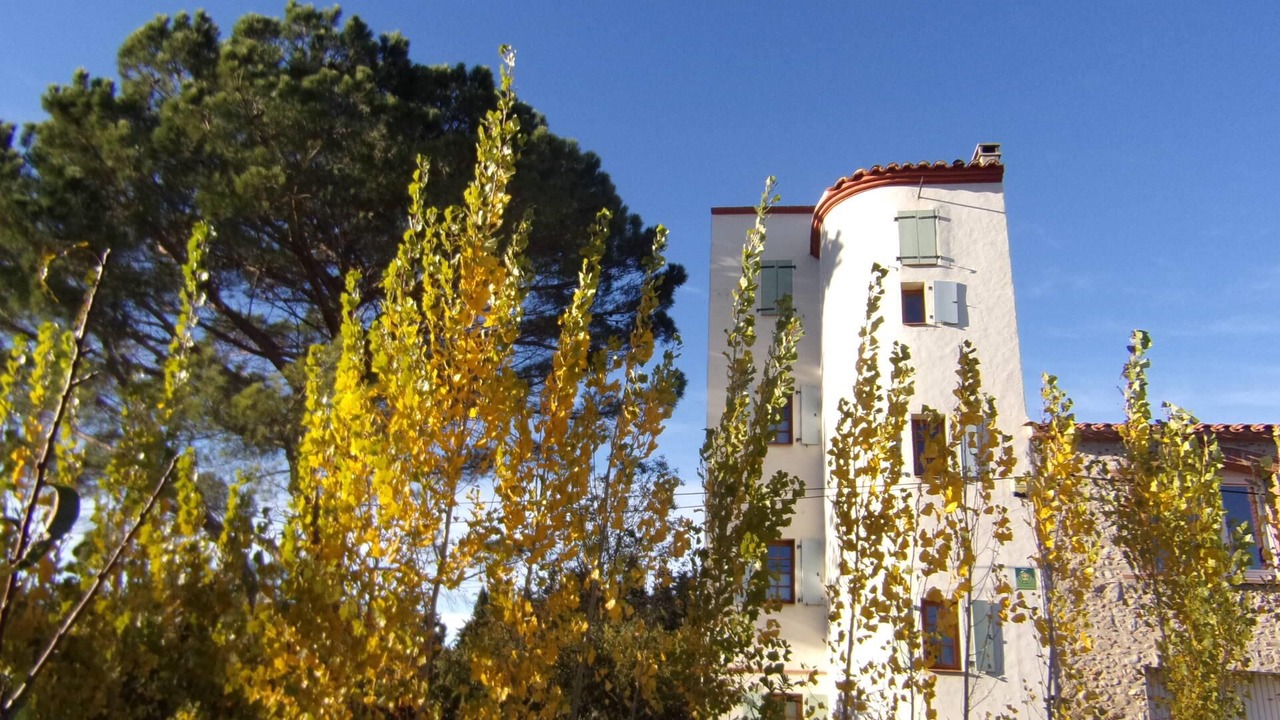 Photo of Outdoor in Millas