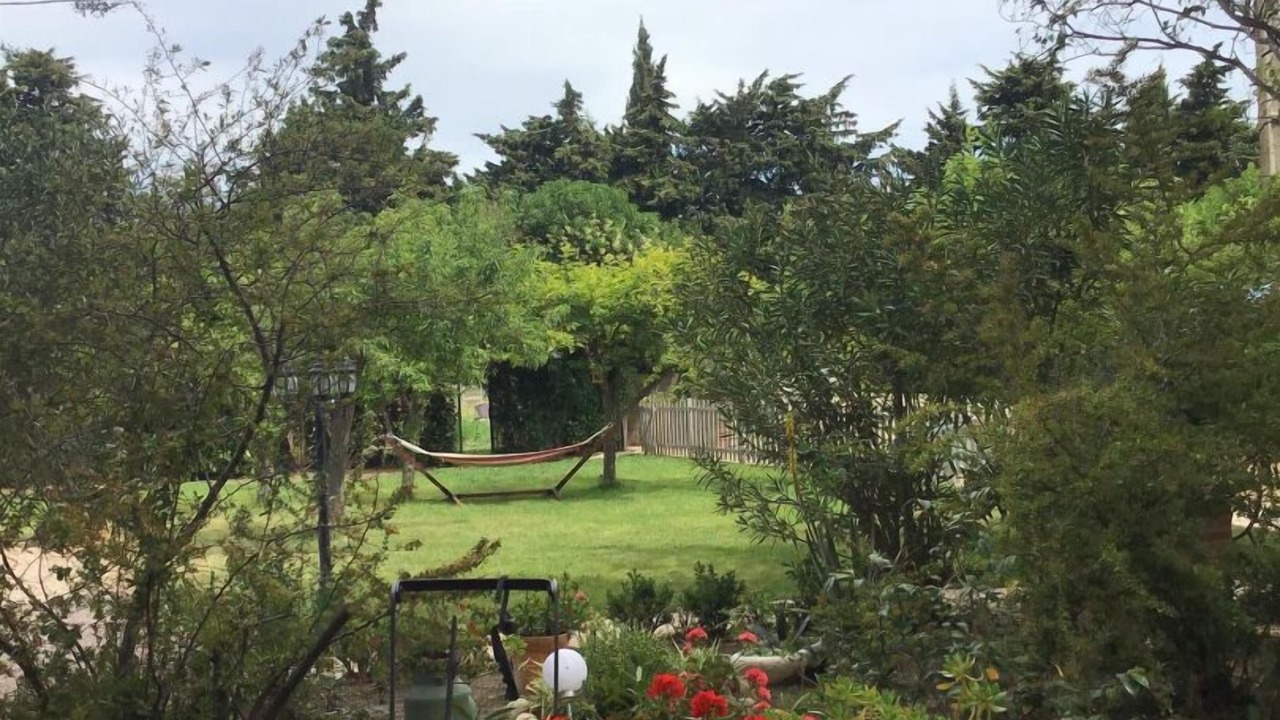 Photo of Outdoor in Millas