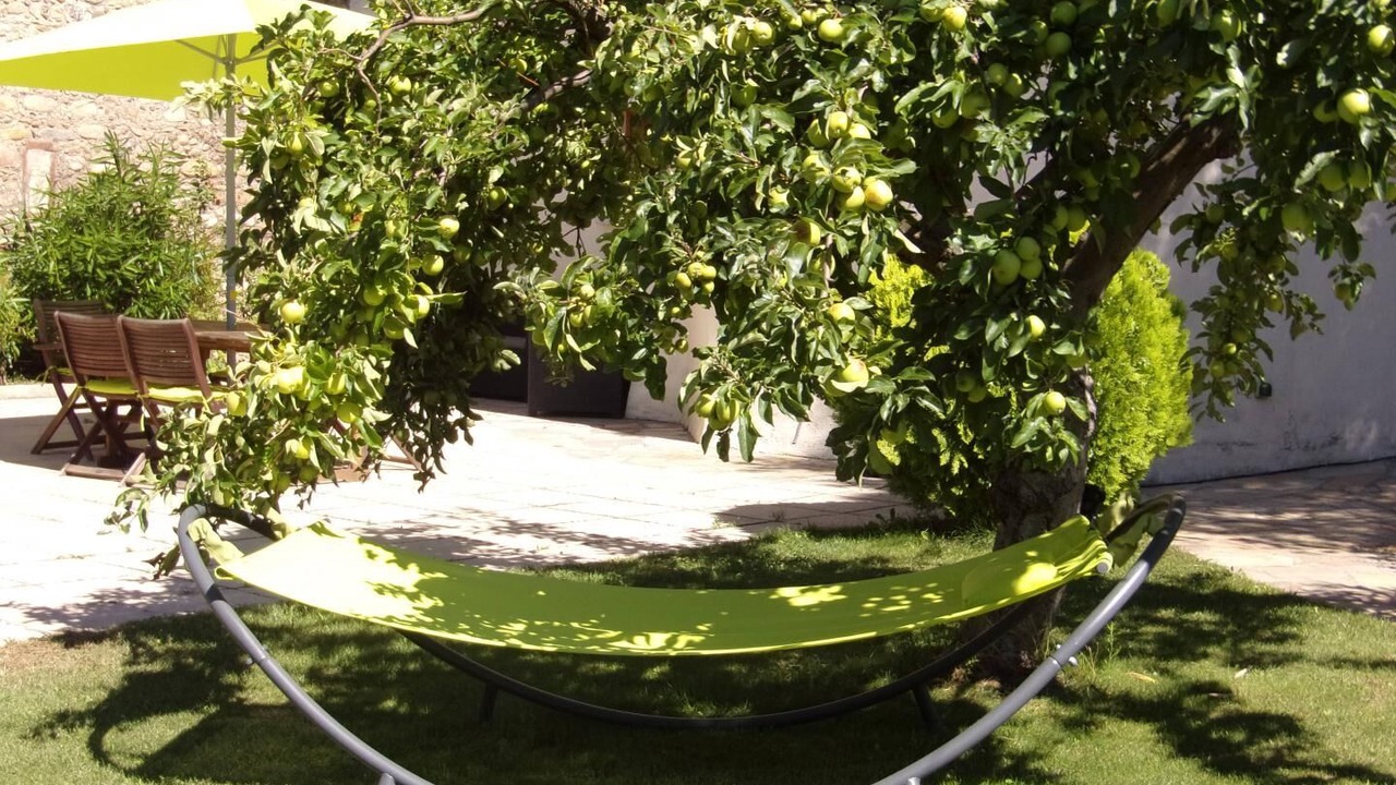 Photo of Outdoor in Millas