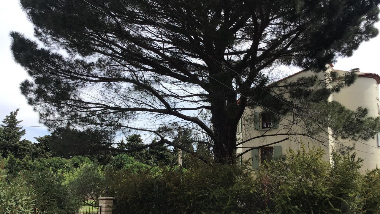 Photo of Outdoor in Millas