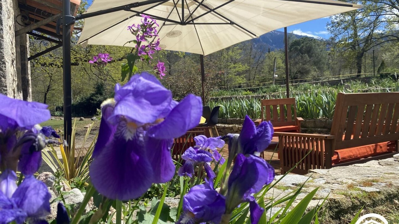 Photo of Outdoor in Corneilla-de-Conflent