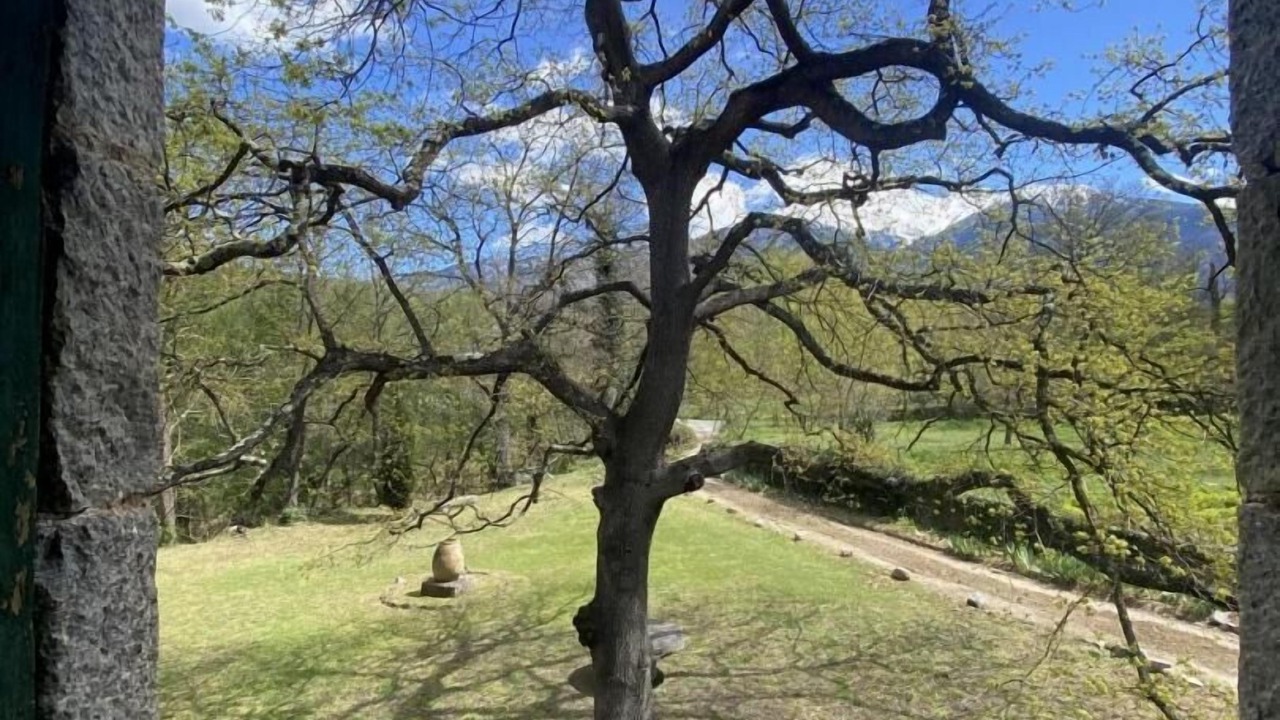 Photo of Others in Corneilla-de-Conflent