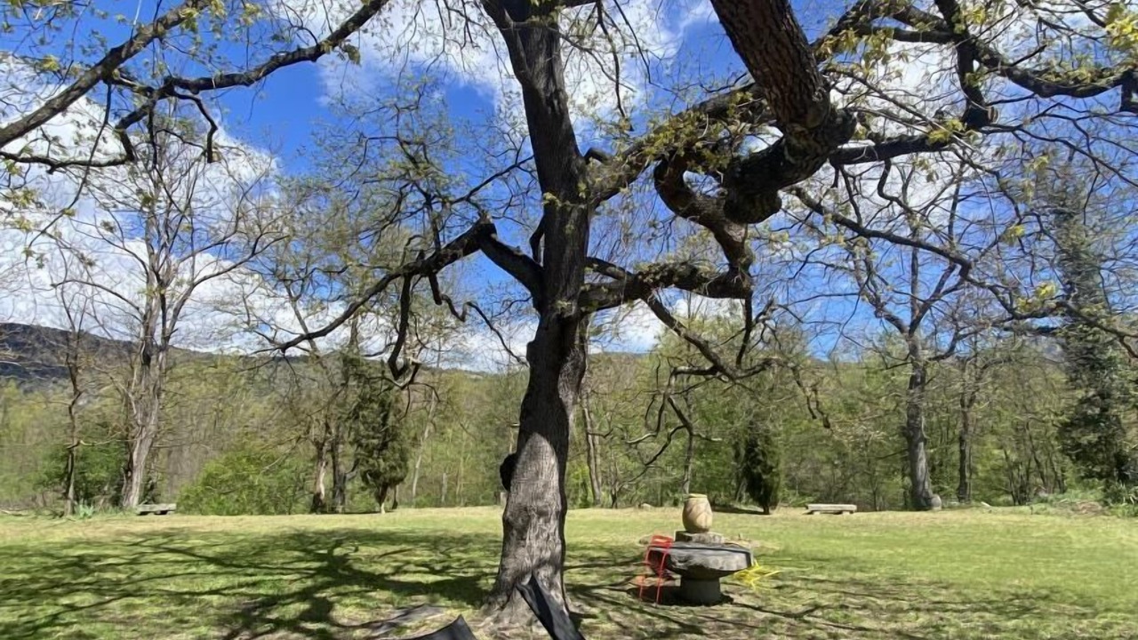 Photo of Outdoor in Corneilla-de-Conflent