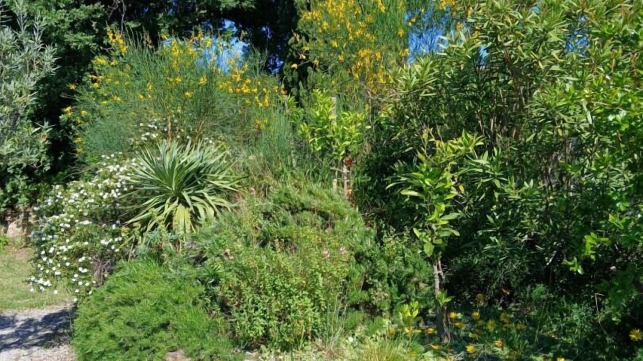 Photo of Outdoor in Villelongue-dels-Monts