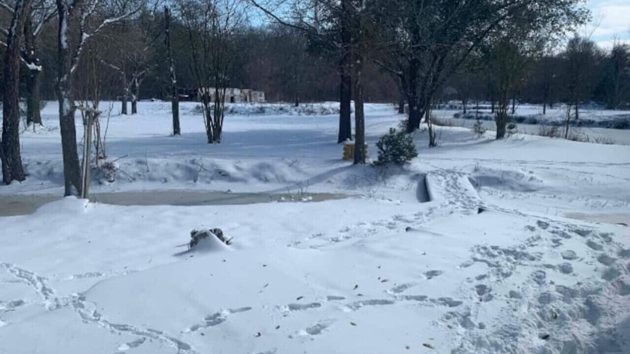 Photo of Outdoor in Elmo