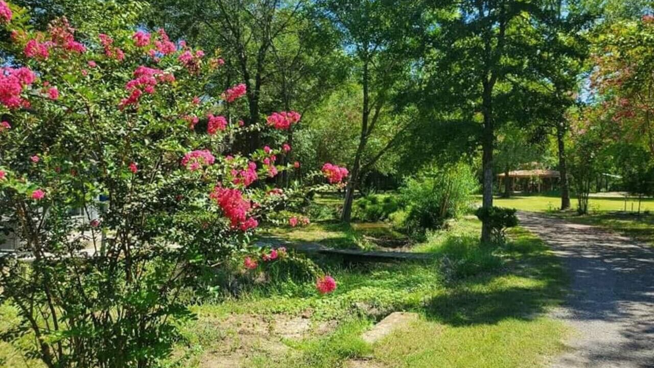 Photo of Outdoor in Elmo
