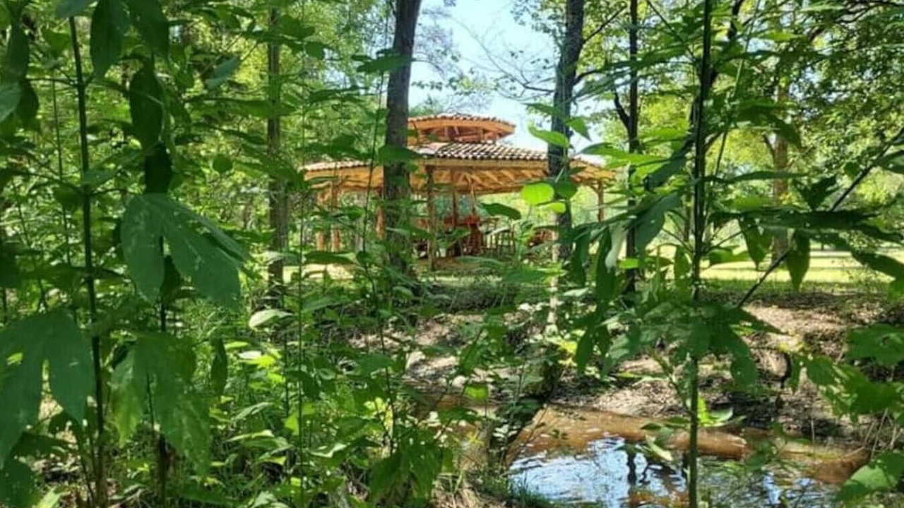 Photo of Outdoor in Elmo