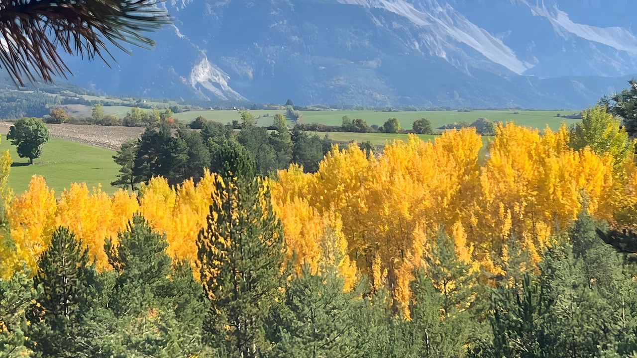 Photo of Others in Mens