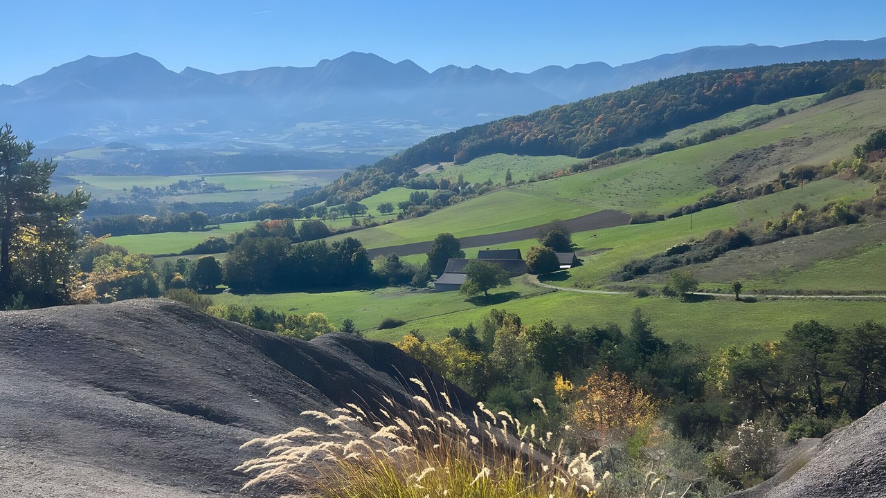 Photo of Others in Mens