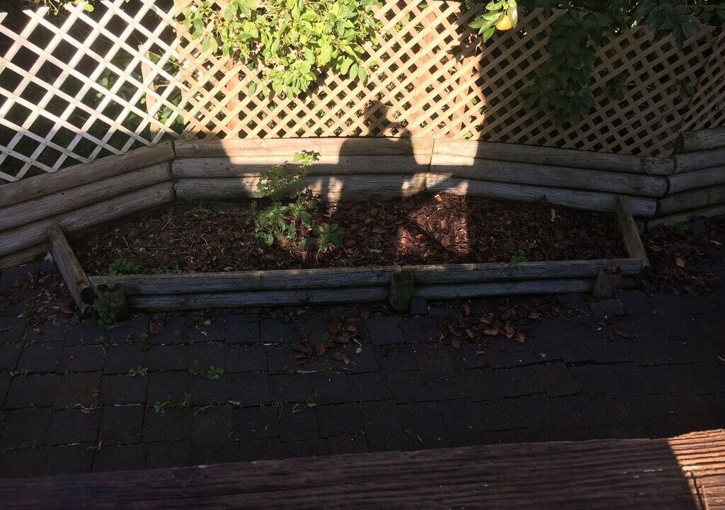 Photo of Outdoor in Torbay