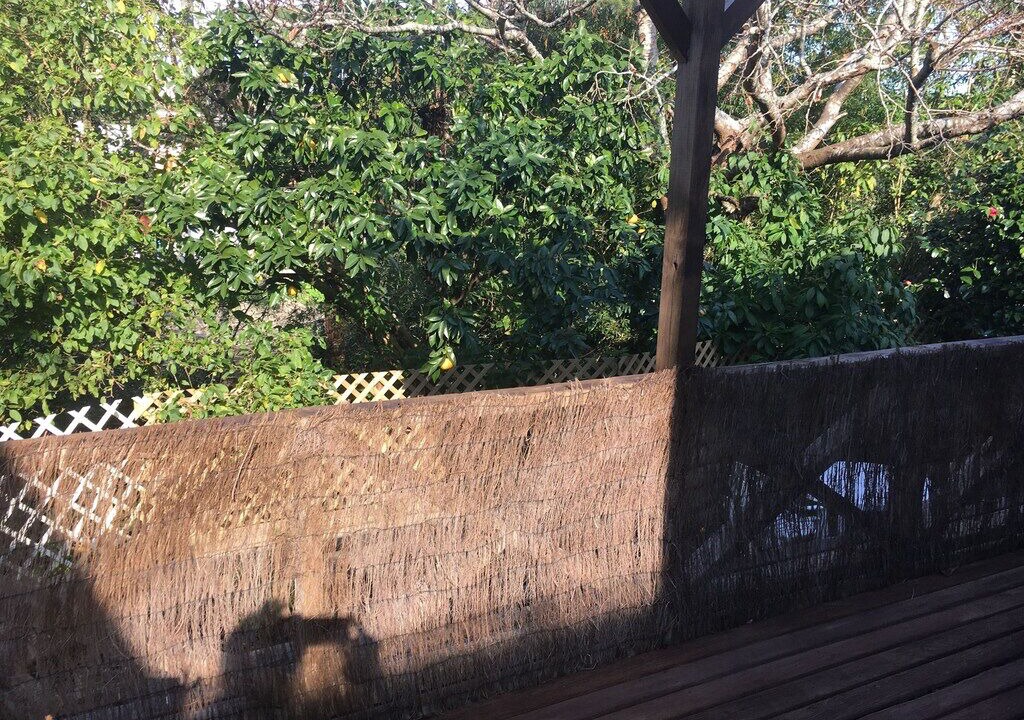 Photo of Outdoor in Torbay