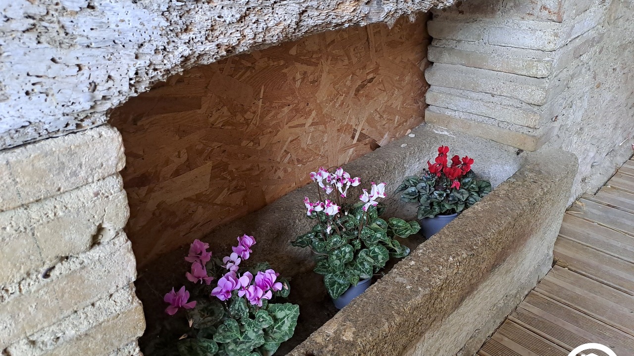 Photo of Outdoor in Graulhet