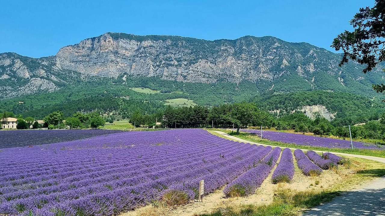 Photo of Others in Allex