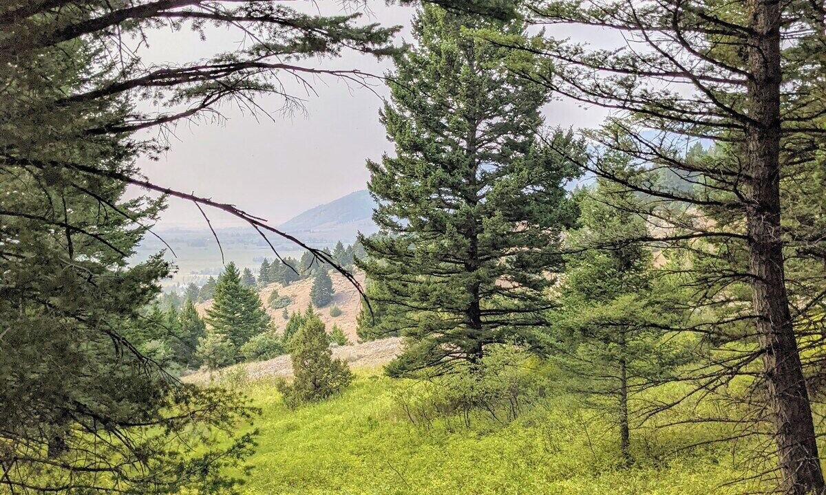 Photo of Others in Bozeman