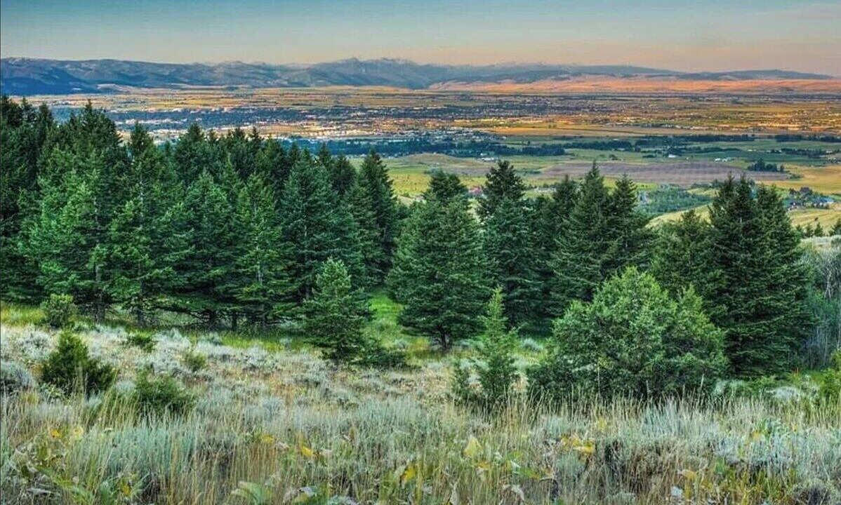 Photo of Others in Bozeman