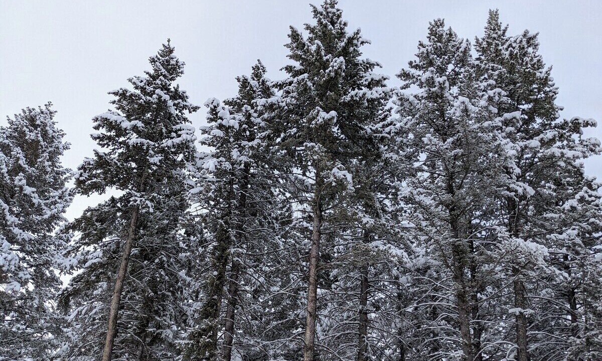 Photo of Others in Bozeman