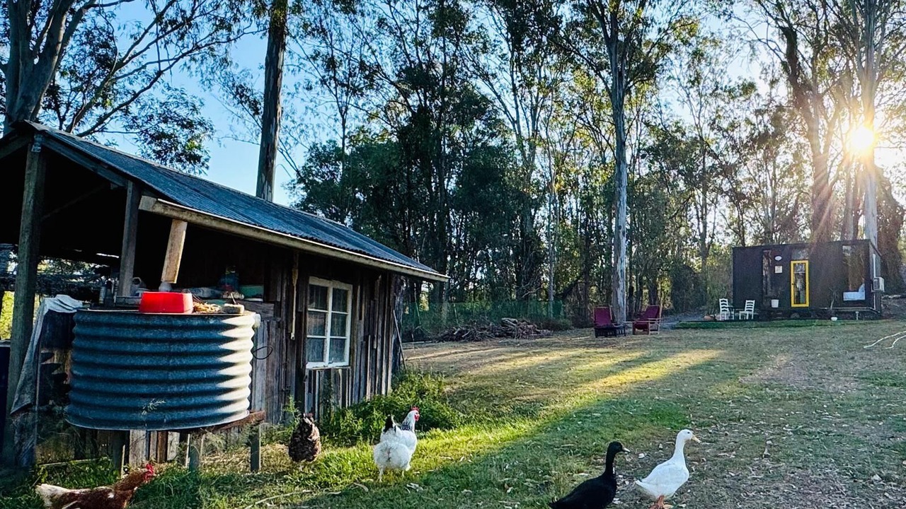 Photo of Outdoor in Cedar Creek