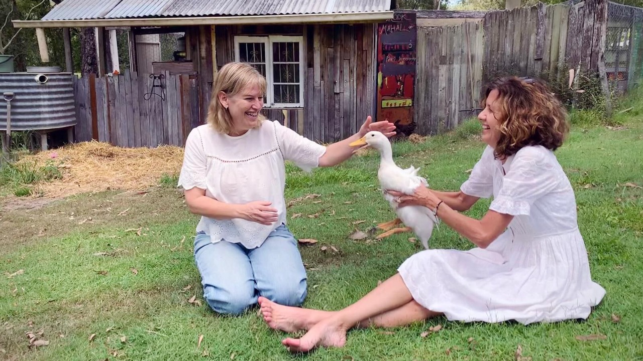 Photo of Outdoor in Cedar Creek