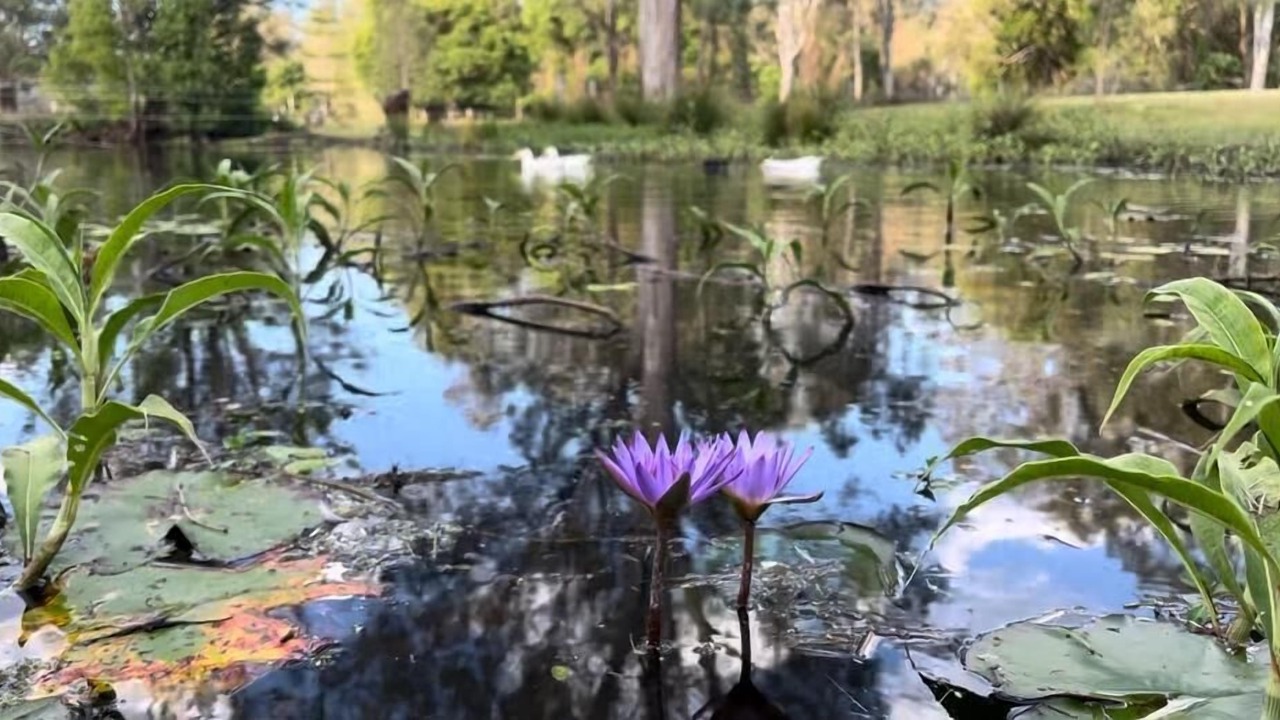 Photo of Outdoor in Cedar Creek