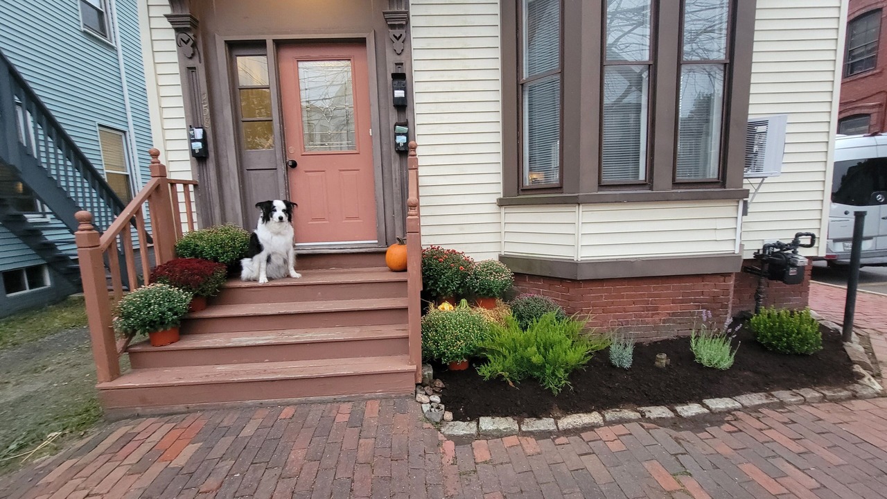 Photo of Outdoor in West End